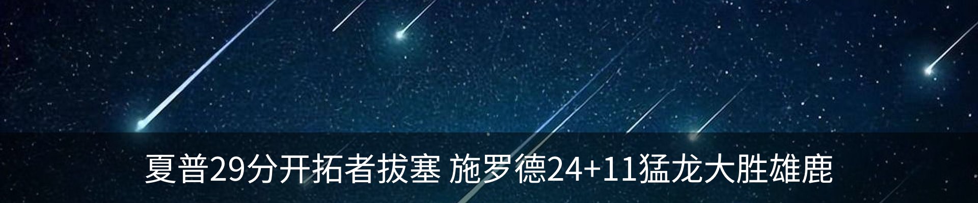 新闻动态