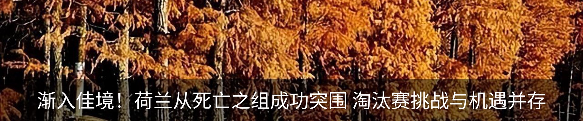 新闻动态